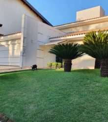 Residencial Samambaia (6)